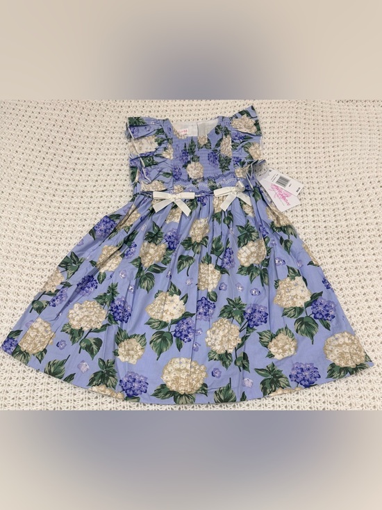Bonnie Jean Other - Bonnie Jean Little Girls Sleeveless Flutter Fit + Flare Dress in hydrangea Sz 6